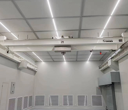 2 ton overhead crane