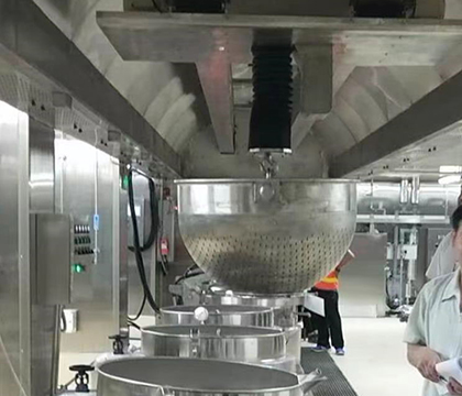 food grade cleanroom cranes