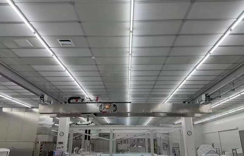 Cleanroom bridge crane