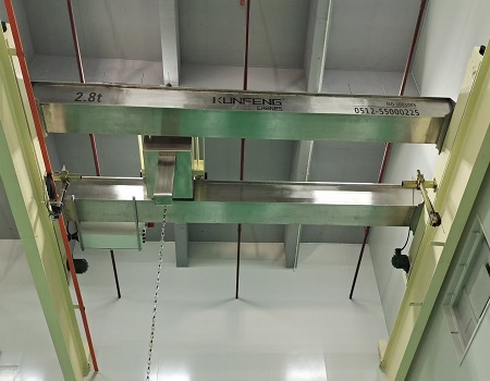 Food Grade Stainless Steel Double Girder Crane