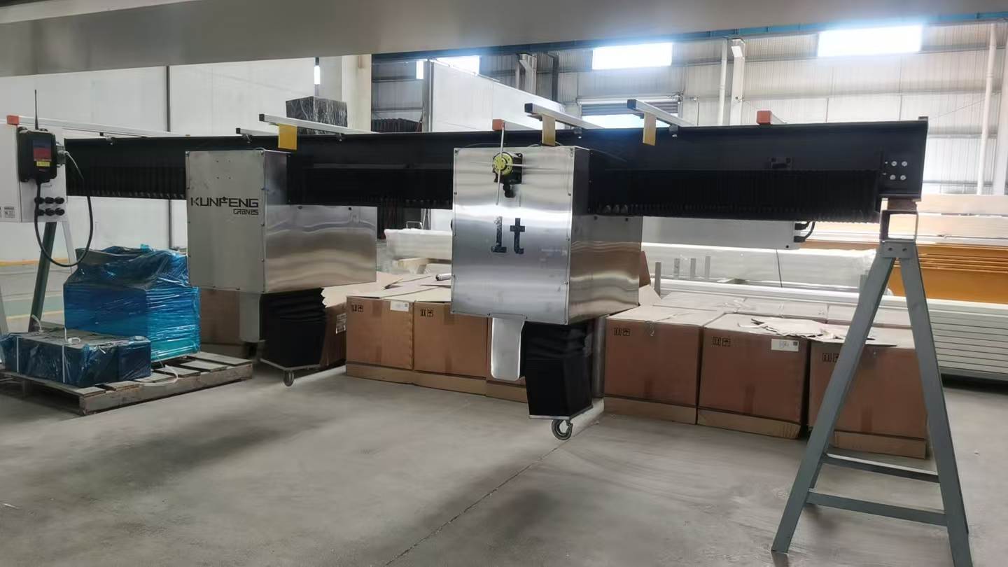 Cleanroom monorail lifting system